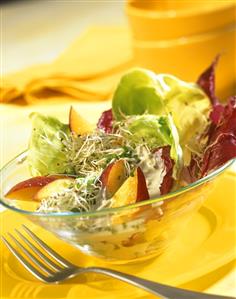 Radicchio and lettuce with peach and sprouts