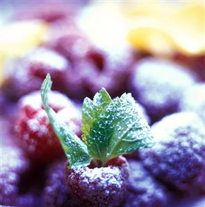 Fresh raspberries with icing sugar and lemon balm