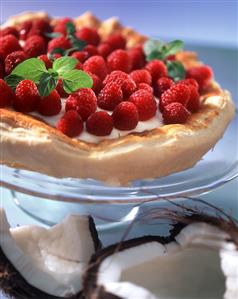 Raspberry and coconut gateau with fresh mint