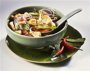 Spicy Asian vegetable soup with chicken and glass noodles