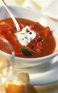 Tomato and pepper soup with juniper cream