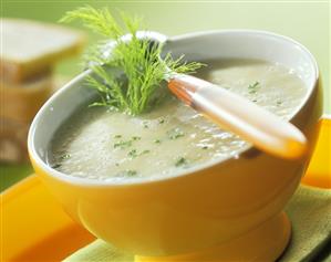 Fennel soup with fennel leaves