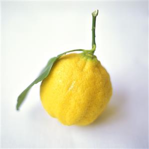 Lemon with stalk and leaf