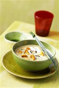 Autumn forest mushroom soup with chives