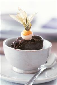 Chocolate sorbet with physalis