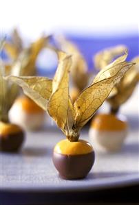 Physalis in dark and white chocolate