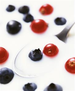 Blueberries and redcurrants in milk with spoon