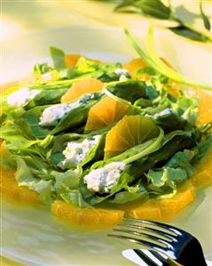 Green salad with oranges and soft cheese