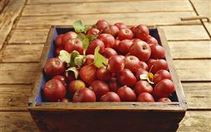 Fresh red crab apples in crate