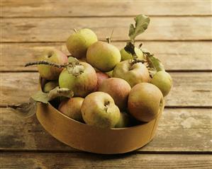 Fresh apples (Lederrenetten, old variety) in bowl