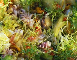 Curly endive with seafood and carambolas (close-up)