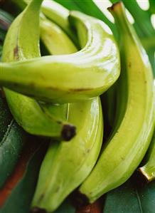 Plantains (cooking bananas)