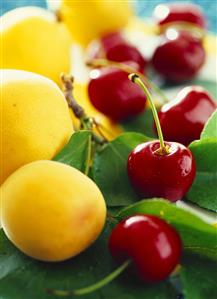 Fresh cherries and apricots on leaves