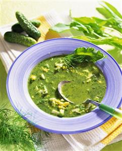 Cold sorrel soup with gherkins and egg