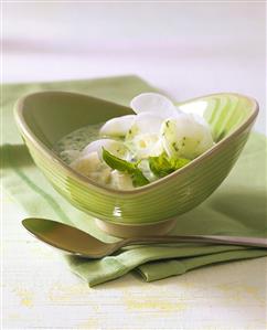 Cold kefir soup with basil and radish