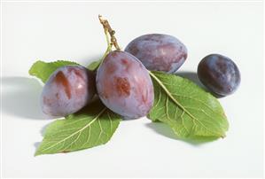 Fresh plums with leaves