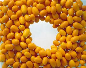 Kumquats, forming a surface with a gap in the middle (1)