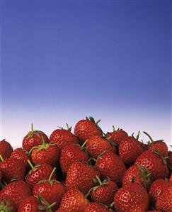 A Pile of Fresh Red Strawberries