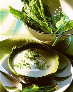 Cream of sorrel soup, strainer with sorrel