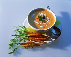 Cream of Carrot Soup with Fresh Carrots