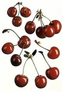 Several Red Cherries on White Background