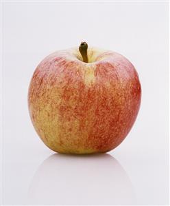 One Idared apple