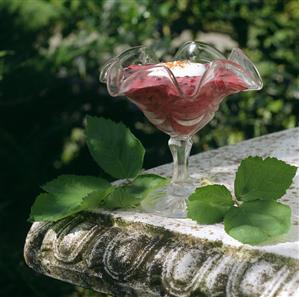 Blueberry mousse with cream in dessert glass