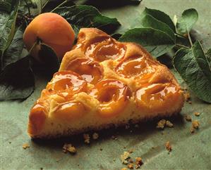 A piece of apricot tart, a fresh apricot beside it (1)