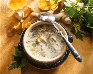 Thuringian forest mushroom soup