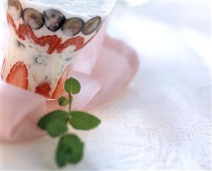 Soft fruit and pistachio yoghurt (1)