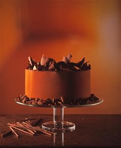 Chocolate gateau with chocolate curls