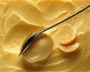 Yoghurt and apricot ice cream in shallow dish with spoon