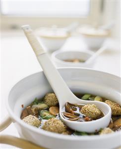 Vegetable stew with shiitake and sesame balls