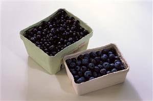 Blueberries and bilberries in punnets