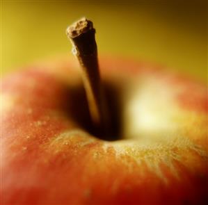 A Boskop apple (close-up)