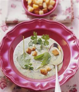 Grüendonnschtigsoppe: green vegetable & herb soup (Switzerland)