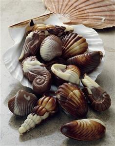 Chocolate seafood in sea shell