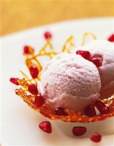 Pomegranate sorbet in caramel net