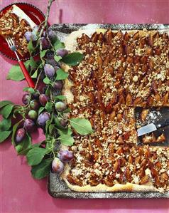 Plum cake on baking tray