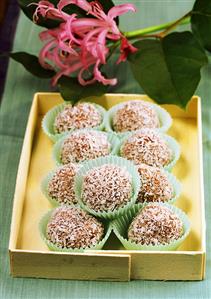 Coconut rum balls in petit four cases