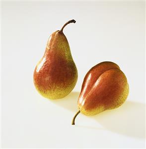 Two pears, variety Klapps Liebling