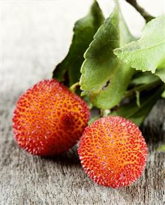 Fruit of the strawberry tree (Arbutus) with leaves