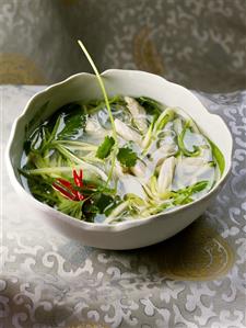 Chicken and vegetable soup with coriander leaves (Asia)