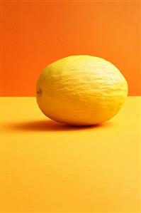 Honeydew melon on coloured background