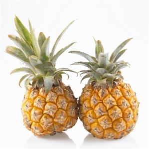 Two baby pineapples