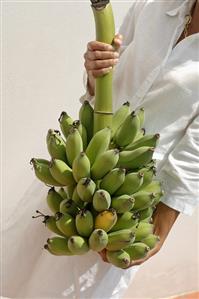 Woman holding bunch of bananas