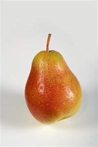 A Forelle pear with drops of water