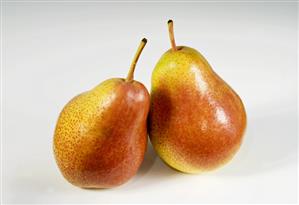 Two Forelle pears