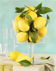 Lemons with leaves in stemmed glass bowl on table