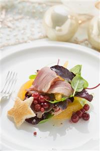 Salad leaves, smoked duck breast, orange segments, toast star